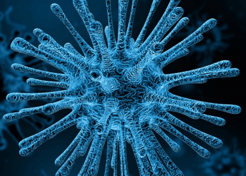 Corona-Virus - aktuelle Infos aus unserem Fotostudio